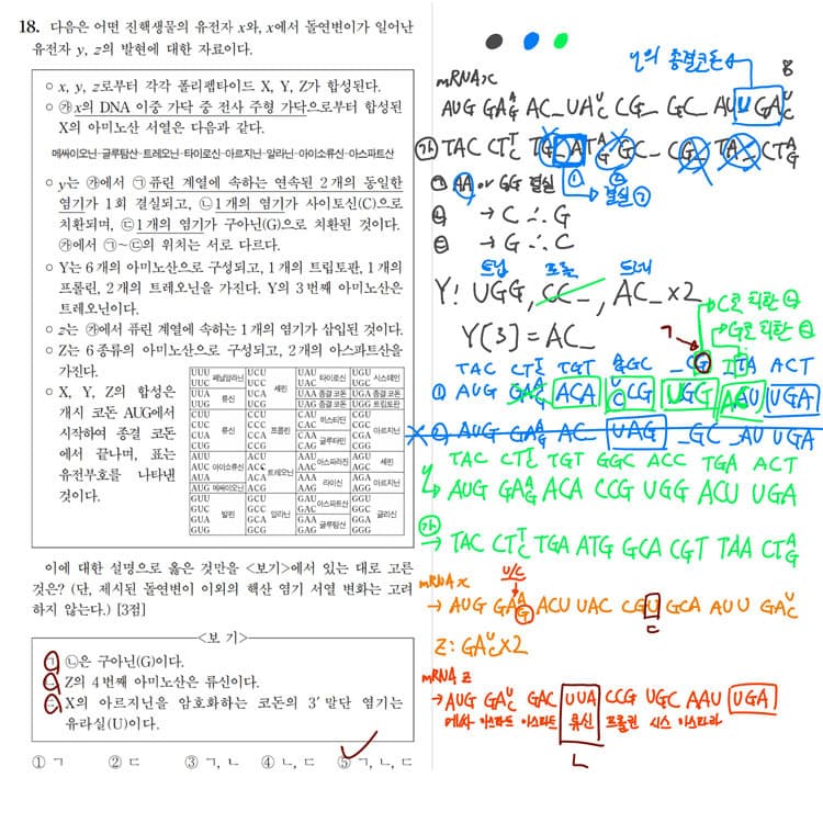 2021학년도 대수능 생명과학 II 18번 '코돈' 풀이