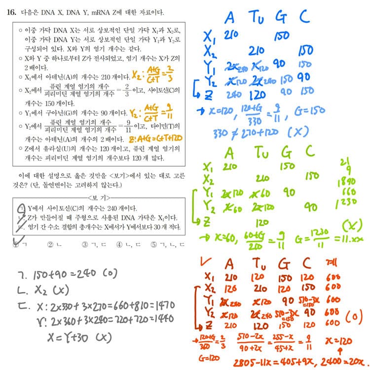 2021학년도 대수능 생명과학 II 16번 '샤가프의 법칙' 풀이