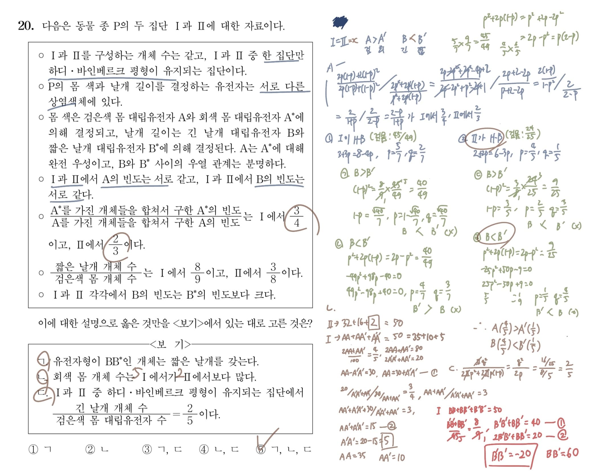 2022학년도 대수능 생명과학 II 20번 '집단유전' 풀이