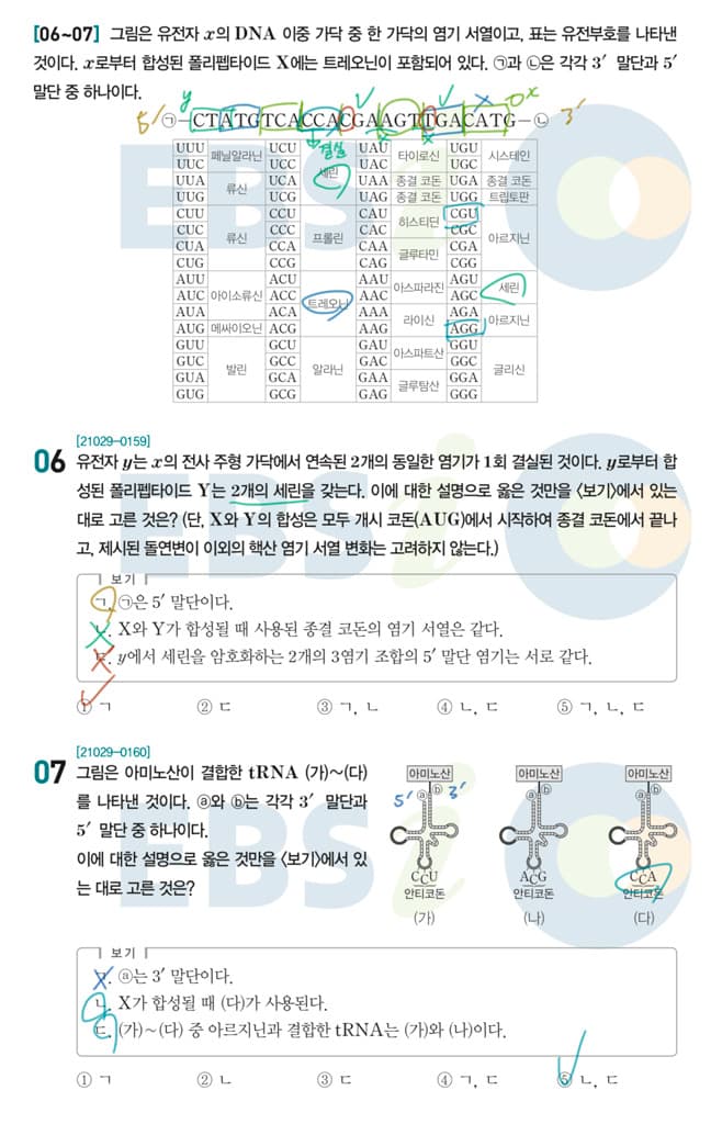 2022학년도 수능특강 생명과학 II '코돈' 123쪽 6-7번 풀이