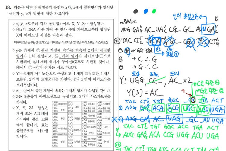 2021학년도 대수능 생명과학 II 18번 '코돈' 풀이