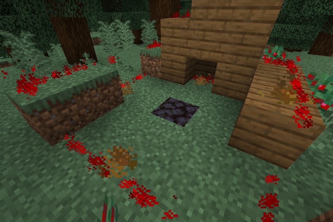 preview image of 2021-06-07-marking-area-using-particles-in-mincraft-plugin