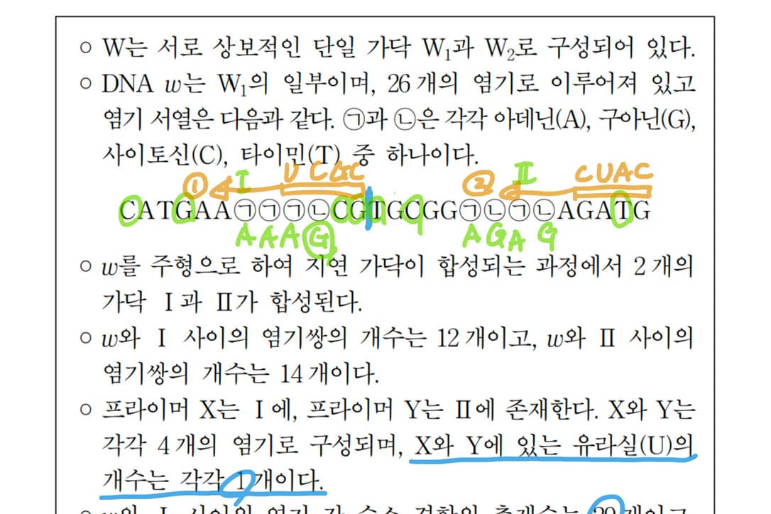 2022학년도 6월 평가원 생명과학 II 16번 '샤가프의 법칙' 풀이