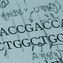 생명과학 II 시험지의 코돈 돌연변이 문제의 풀이 흔적이 찍힌 사진